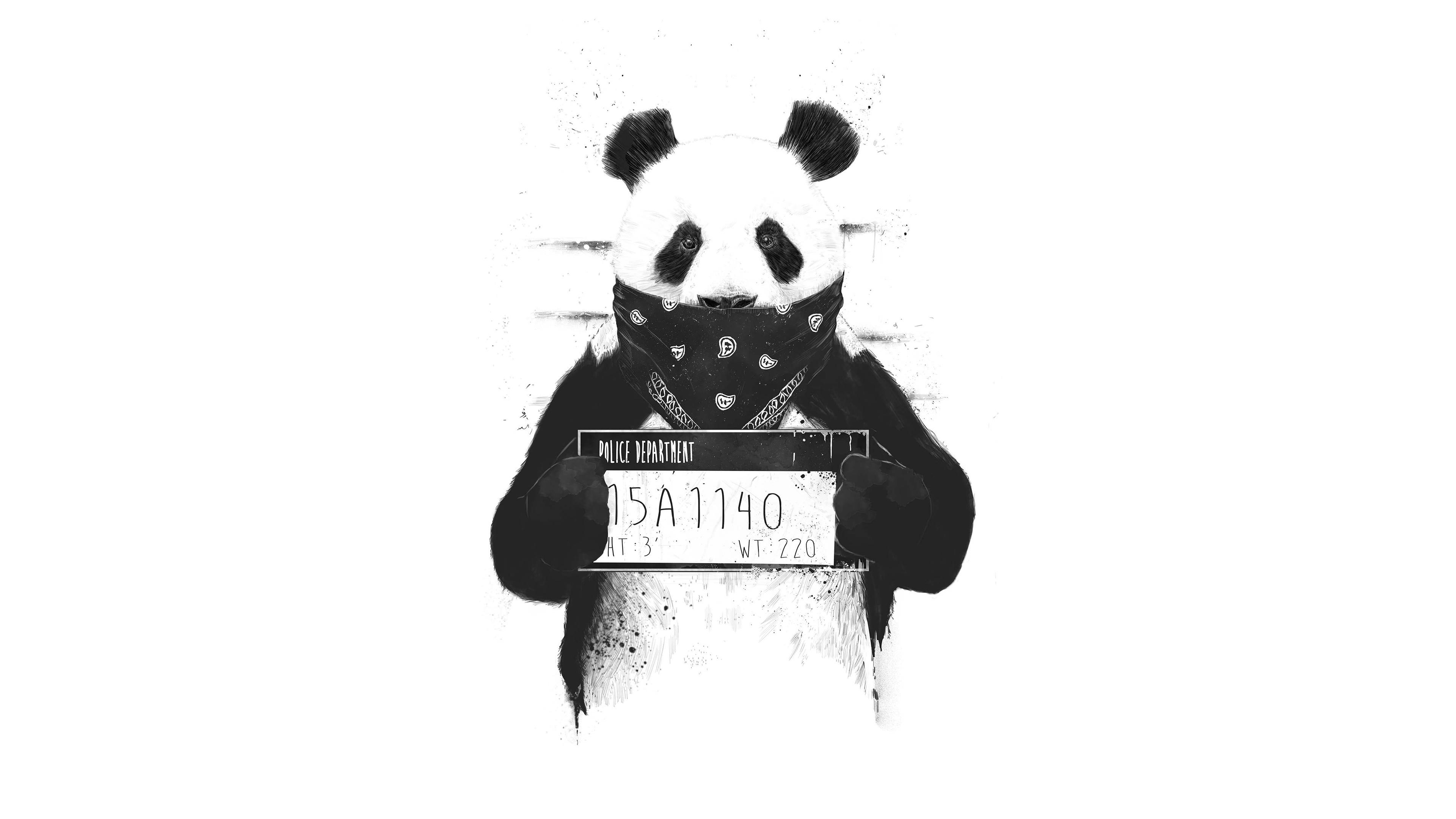 Панда с табличкой