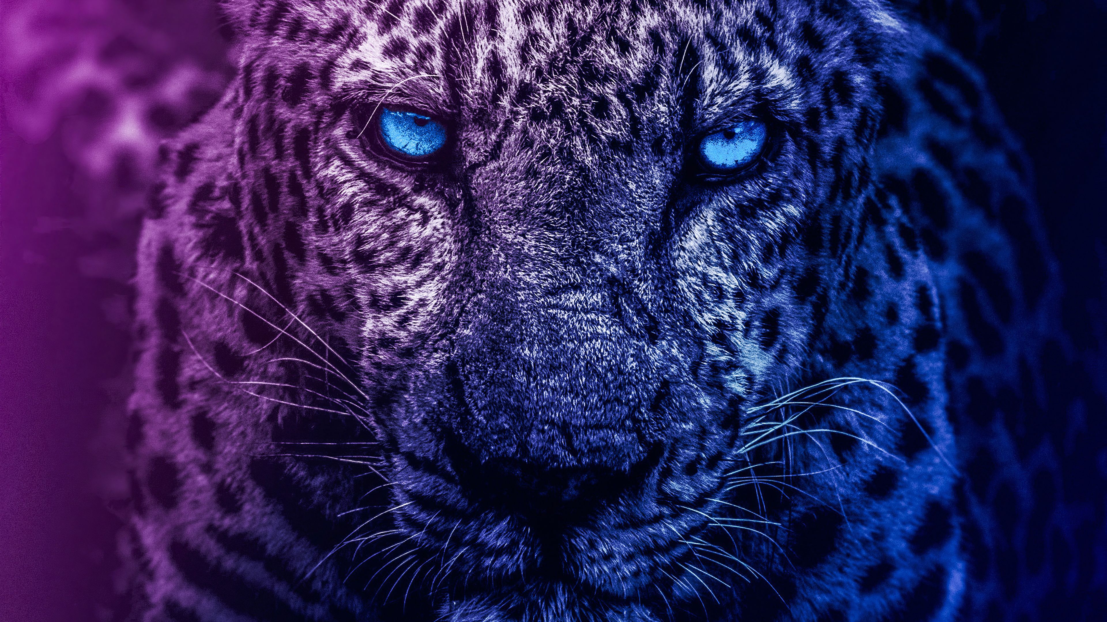 Синий леопард