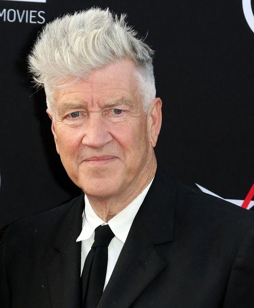 Дэвид литч. Дэвид Линч. David Lynch Cooks Quinoa. Дэвид Линч фото.