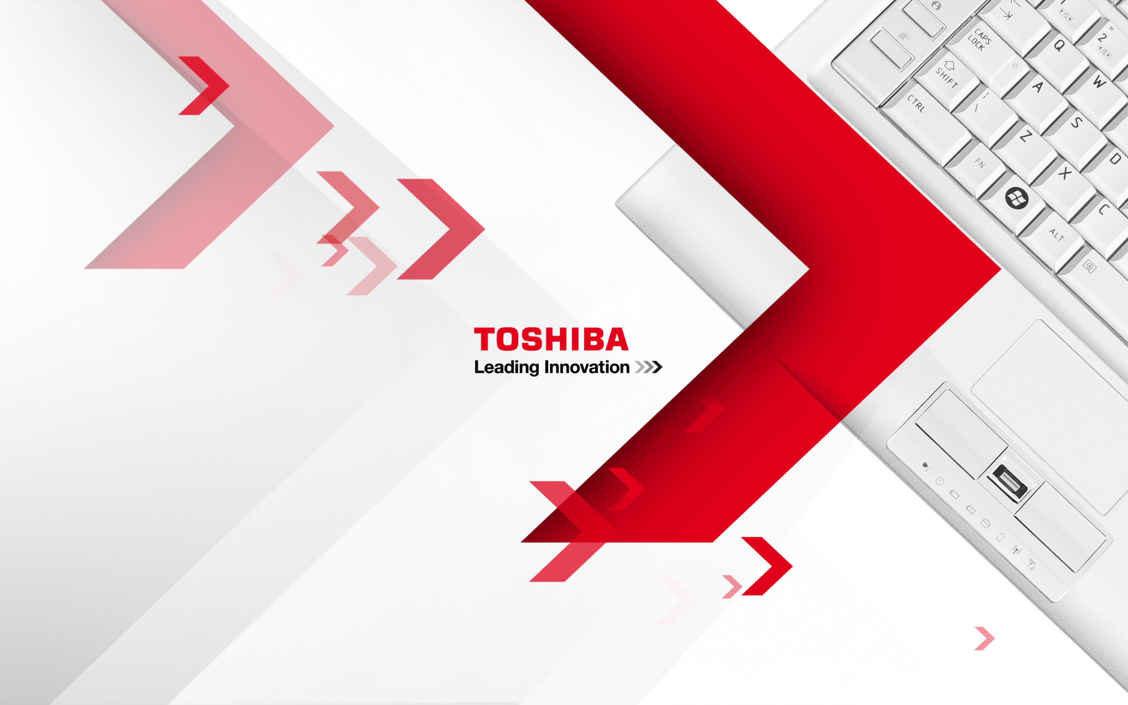 Изображение toshiba. Заставка Тошиба. Заставка Toshiba на рабочий стол. Тошиба логотип. Toshiba leading Innovation обои.