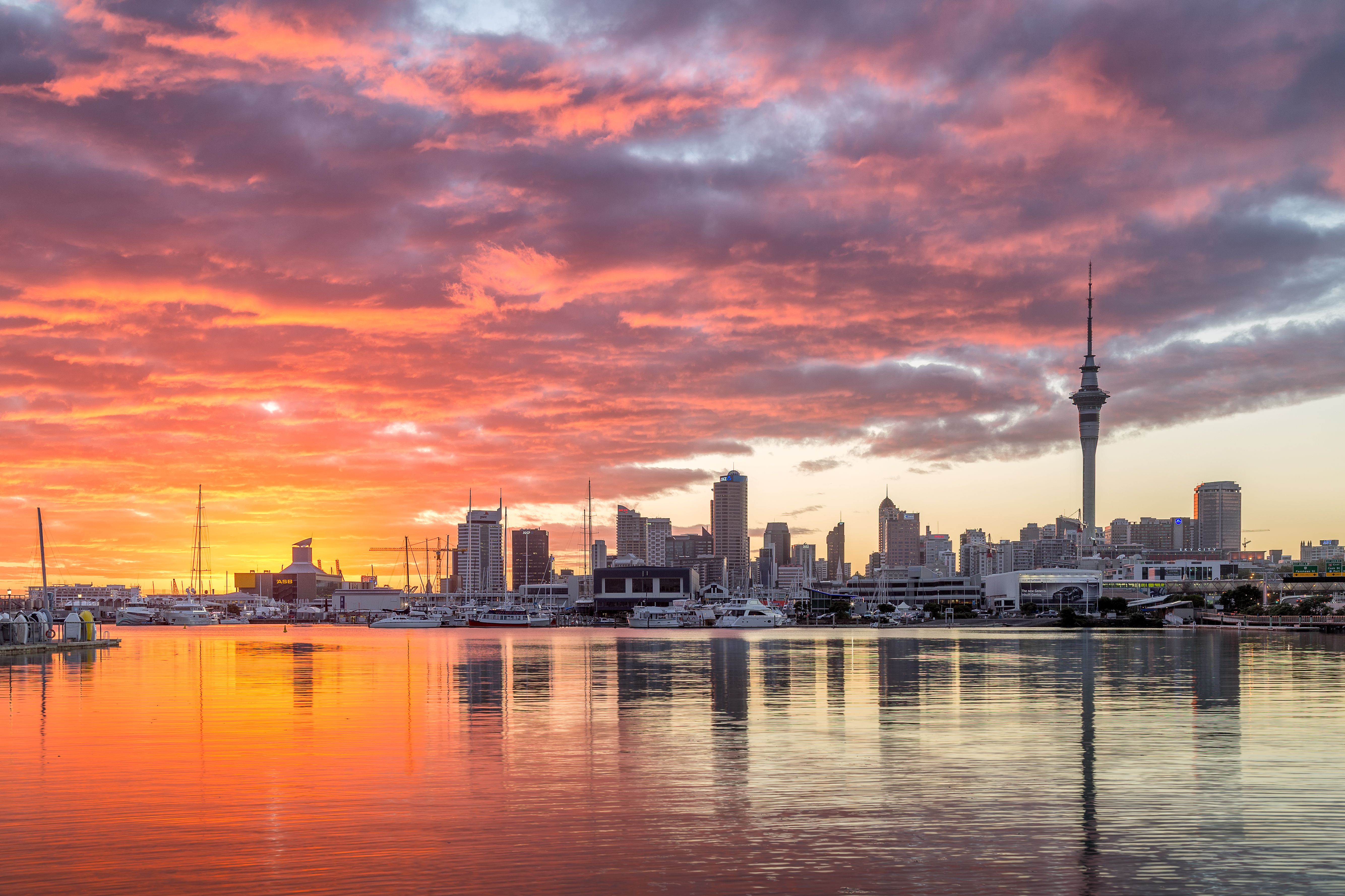 Город нова. Окленд новая Зеландия. Новозеландия Окленд. Город Auckland новая Зеландия. Южный Окленд.