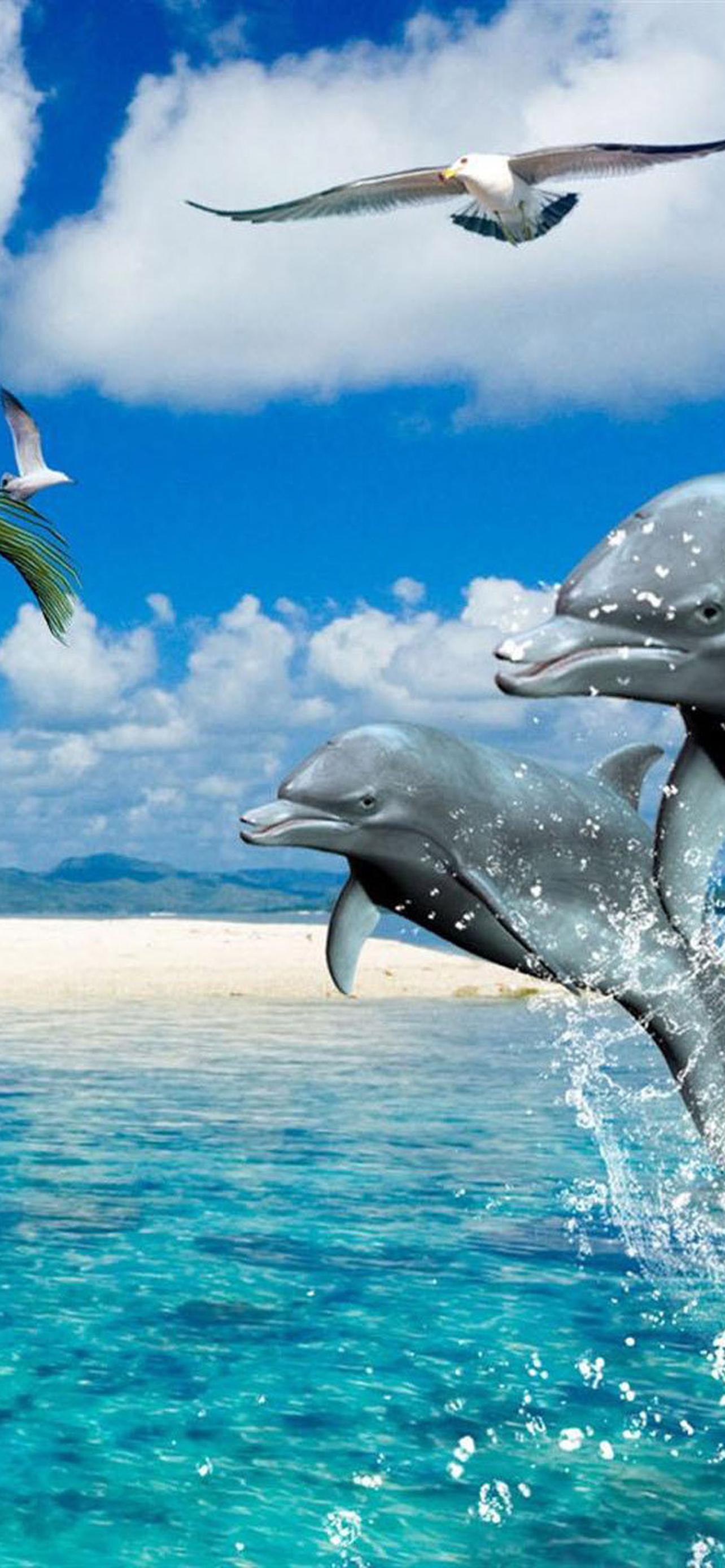 дельфины и море вертикальное