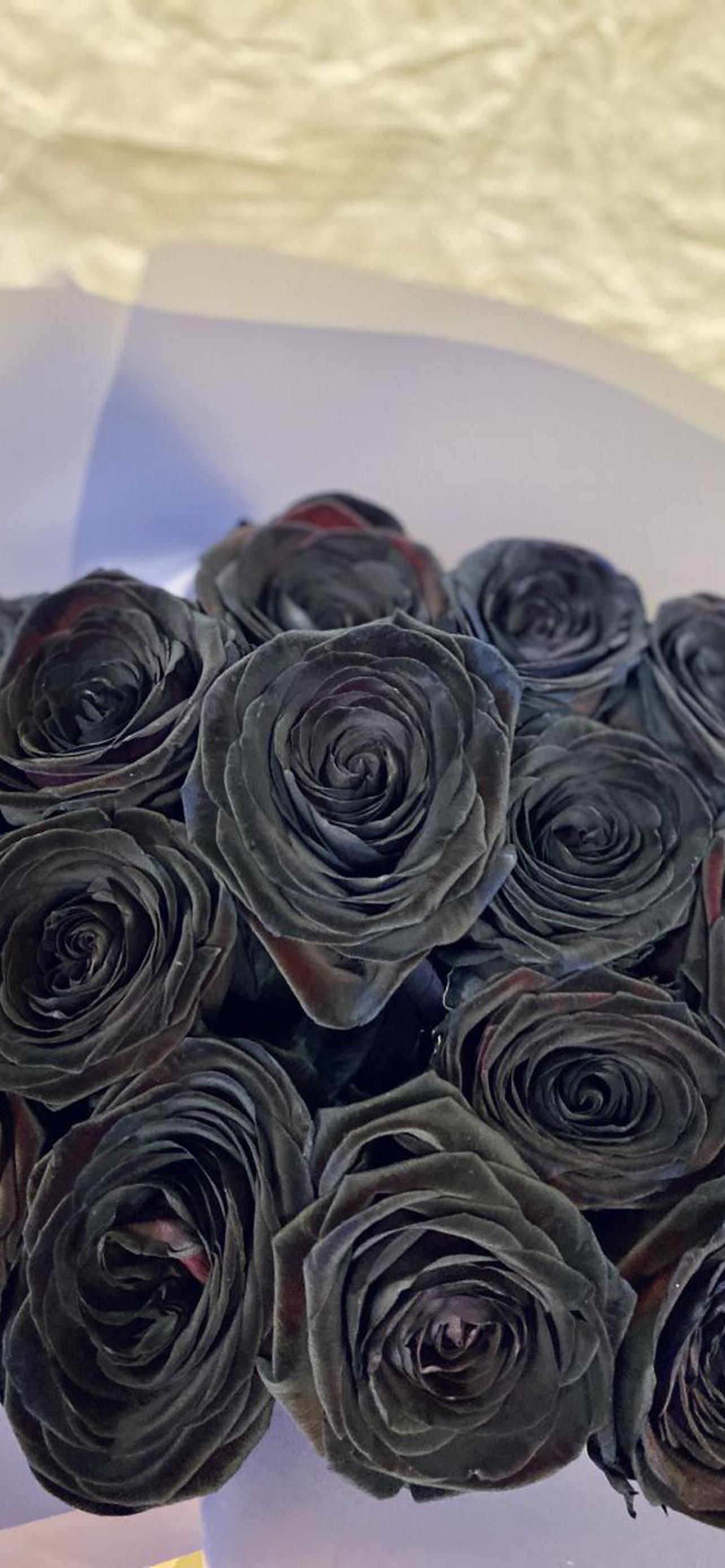 Где купить черные розы. Черные розы Халфети.