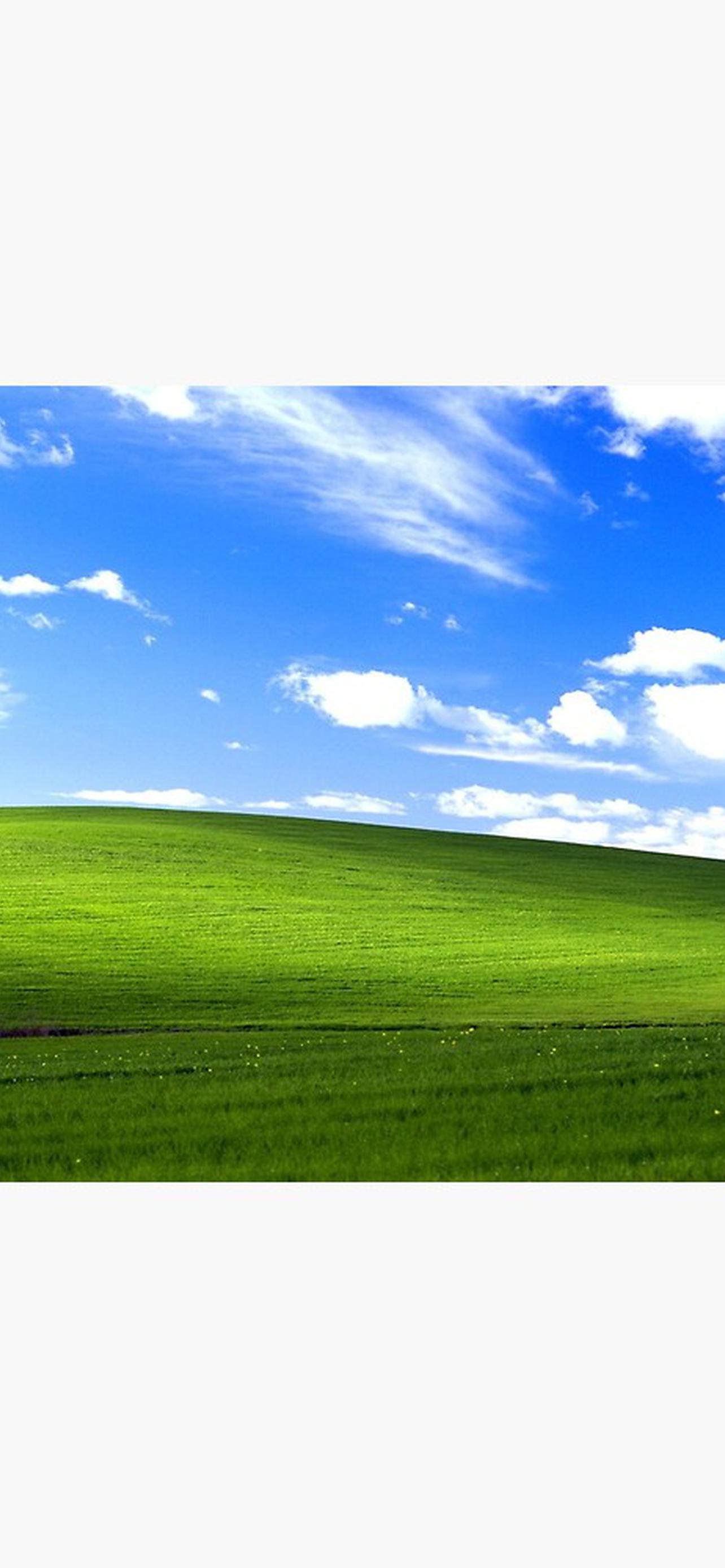 Windows XP