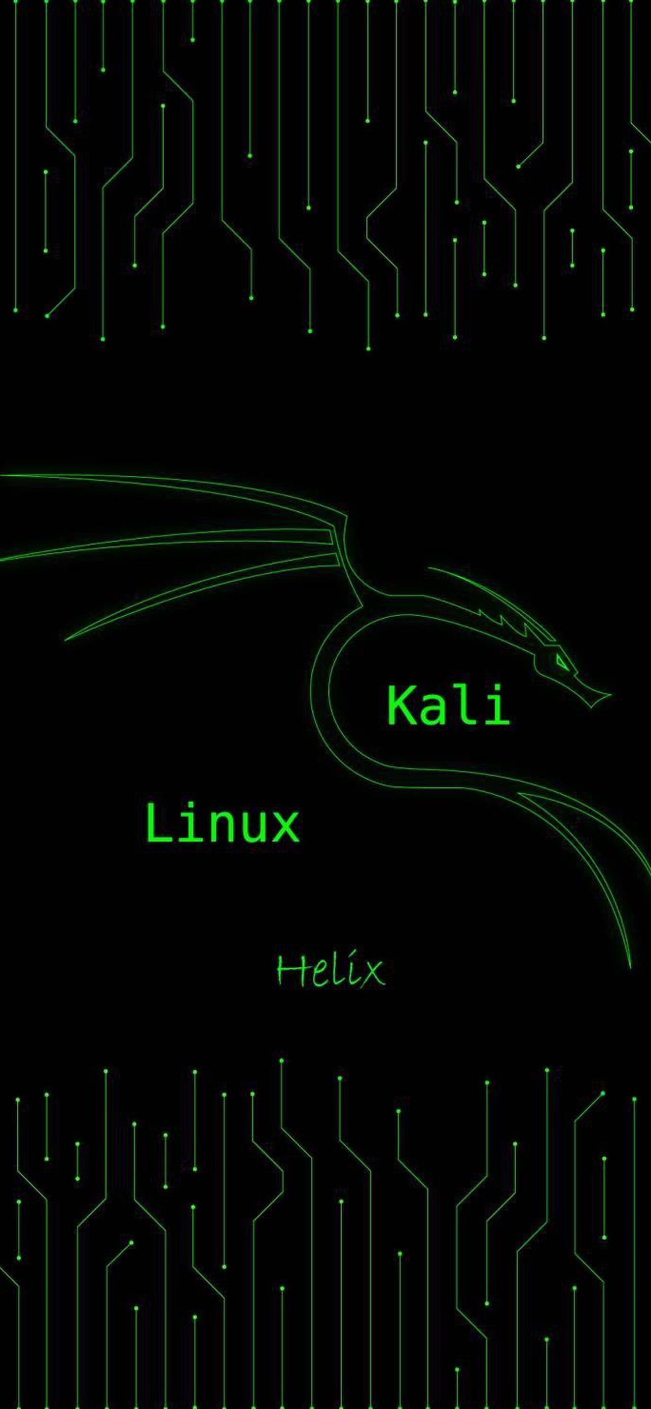 Kali hack. Кали линукс. Кали линукс обои. Обои kali Linux на андроид. Kali Linux обои для смартфона.