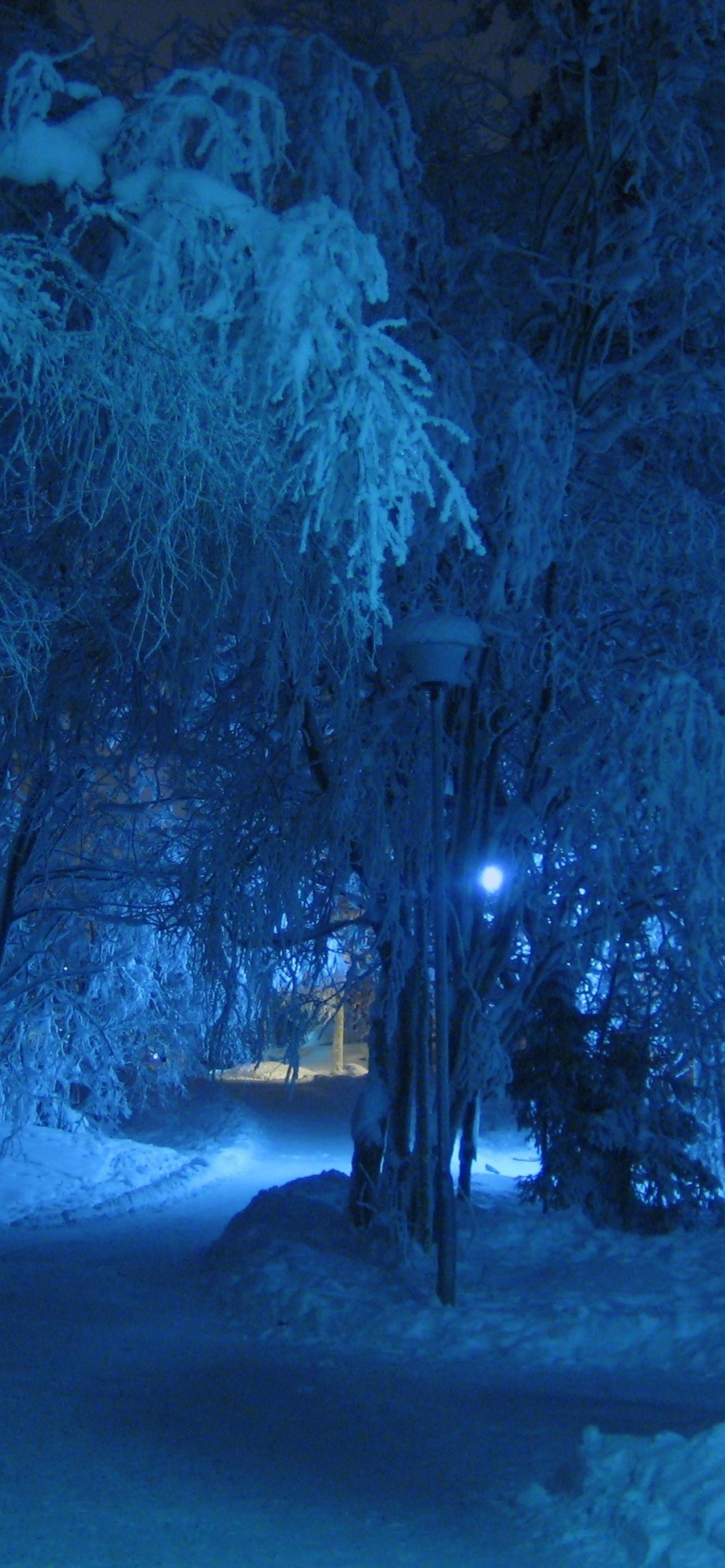 6 вечера зимой. Зима ночь. Зимний пейзаж ночью. Ночь зимой. Зима. К вечеру.