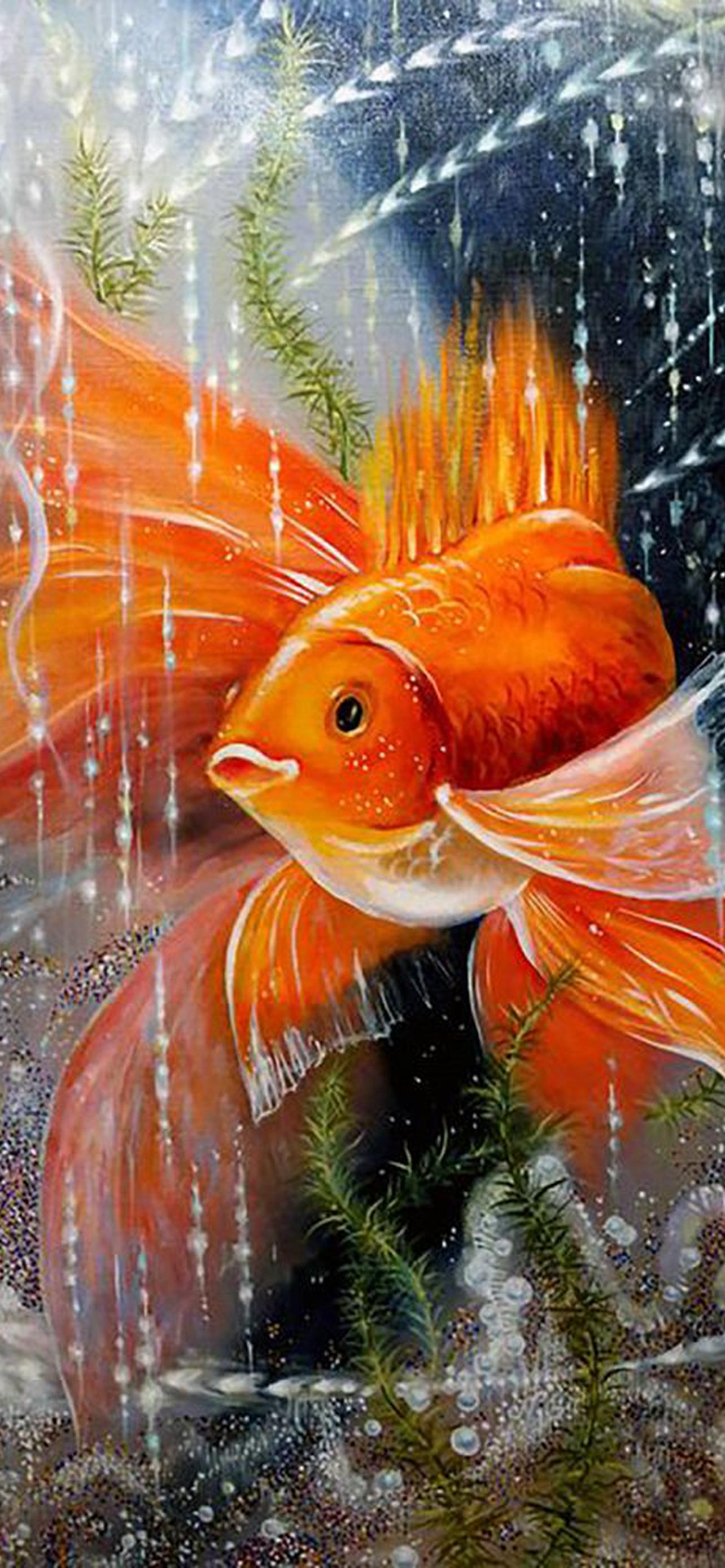 Золотая рыбка шубункин. Сказочная рыбка. Рыбка исполнения желаний. Золотая рыбка исполнение желаний.