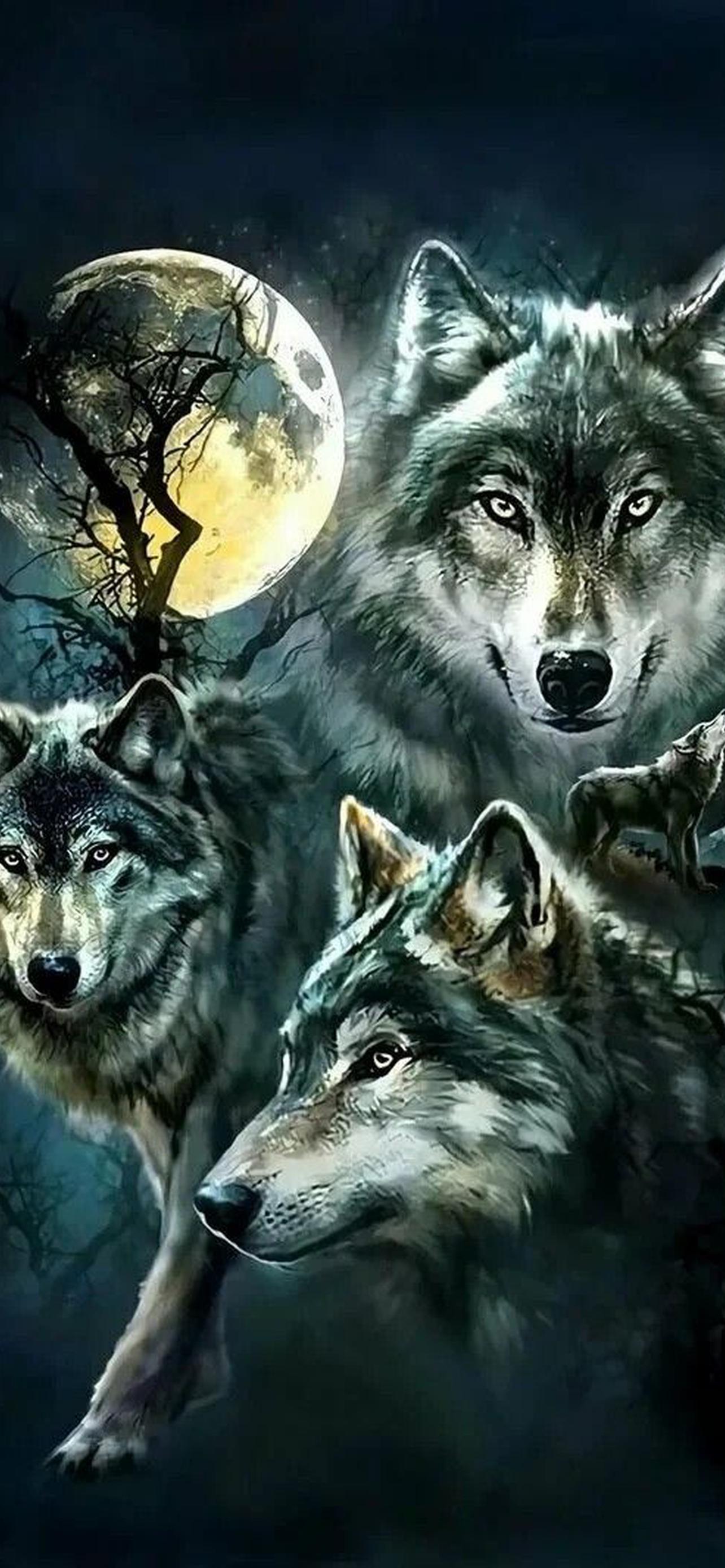 Красивые волки