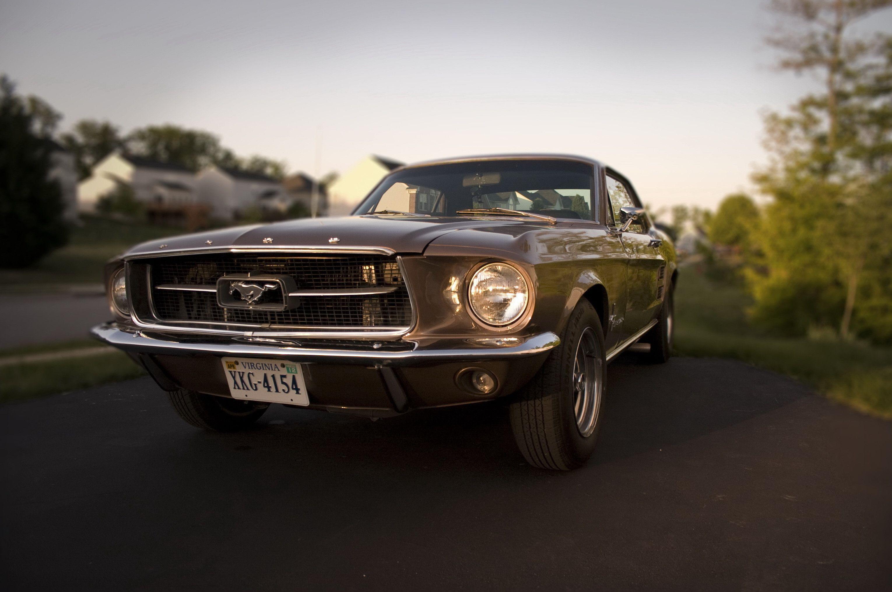 Mustang Car.